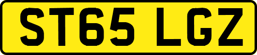 ST65LGZ
