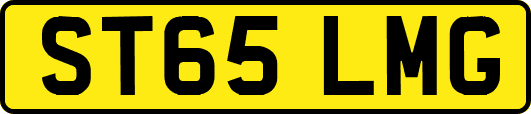 ST65LMG