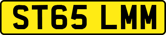 ST65LMM