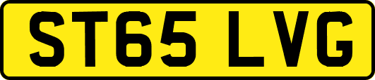 ST65LVG