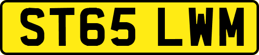 ST65LWM