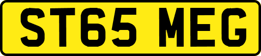 ST65MEG