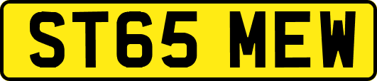 ST65MEW