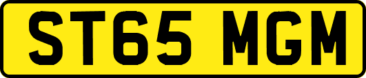 ST65MGM