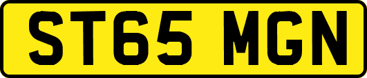 ST65MGN