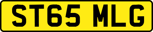 ST65MLG