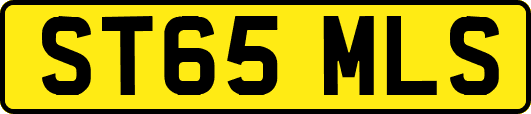 ST65MLS
