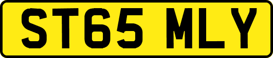 ST65MLY