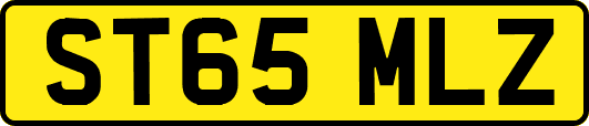 ST65MLZ
