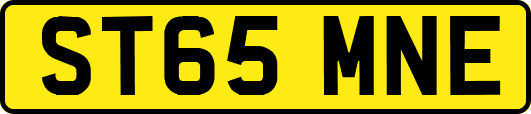 ST65MNE