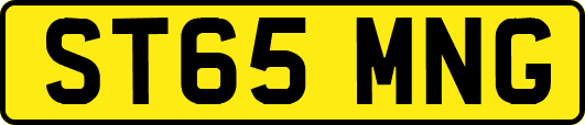 ST65MNG