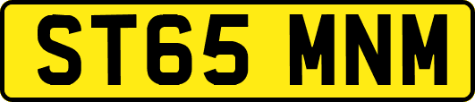 ST65MNM