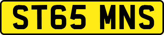 ST65MNS