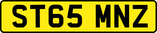 ST65MNZ
