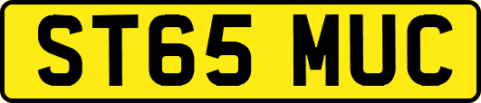 ST65MUC