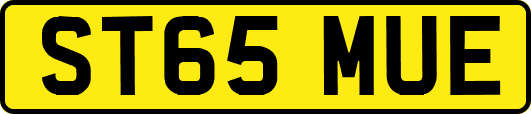ST65MUE