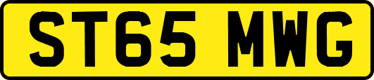 ST65MWG