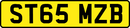 ST65MZB