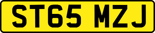 ST65MZJ