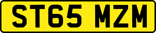 ST65MZM