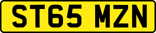 ST65MZN