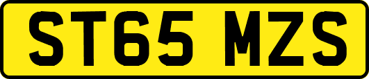 ST65MZS