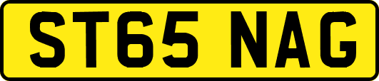 ST65NAG