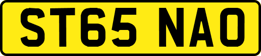 ST65NAO