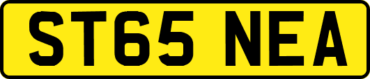 ST65NEA