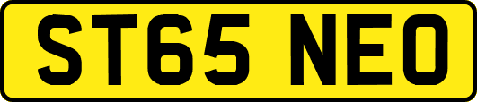 ST65NEO