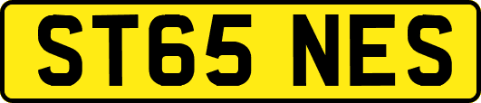 ST65NES