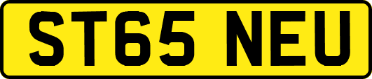 ST65NEU