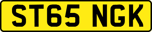 ST65NGK