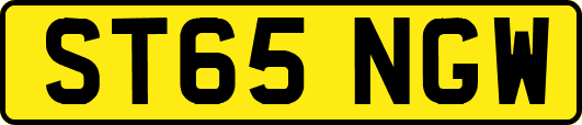 ST65NGW