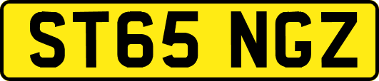 ST65NGZ