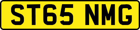 ST65NMG
