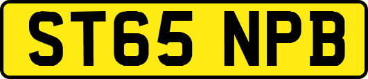 ST65NPB