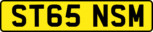 ST65NSM