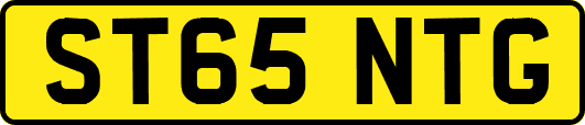 ST65NTG
