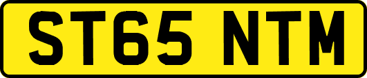 ST65NTM