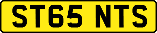 ST65NTS