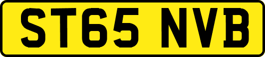 ST65NVB