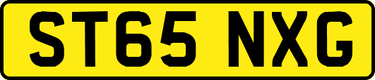 ST65NXG