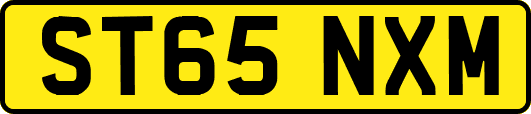 ST65NXM
