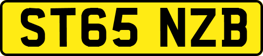 ST65NZB