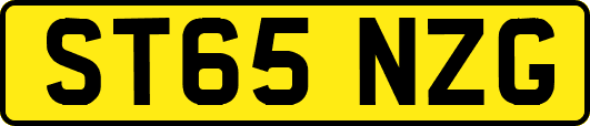 ST65NZG