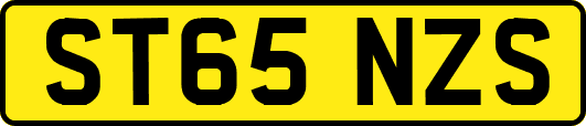 ST65NZS