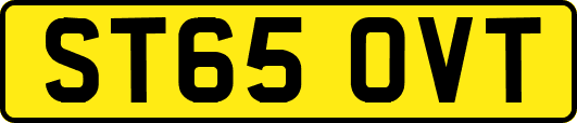 ST65OVT