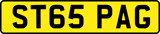 ST65PAG