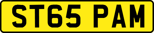 ST65PAM